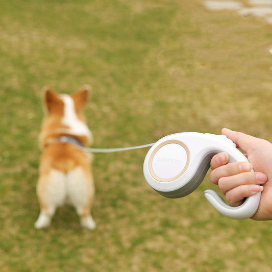 Automatic Retractable Dog Leash - Pet Supplies Essential