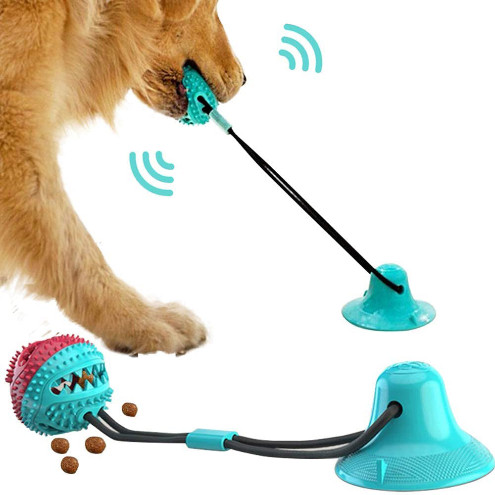 Dog playing with suction toy