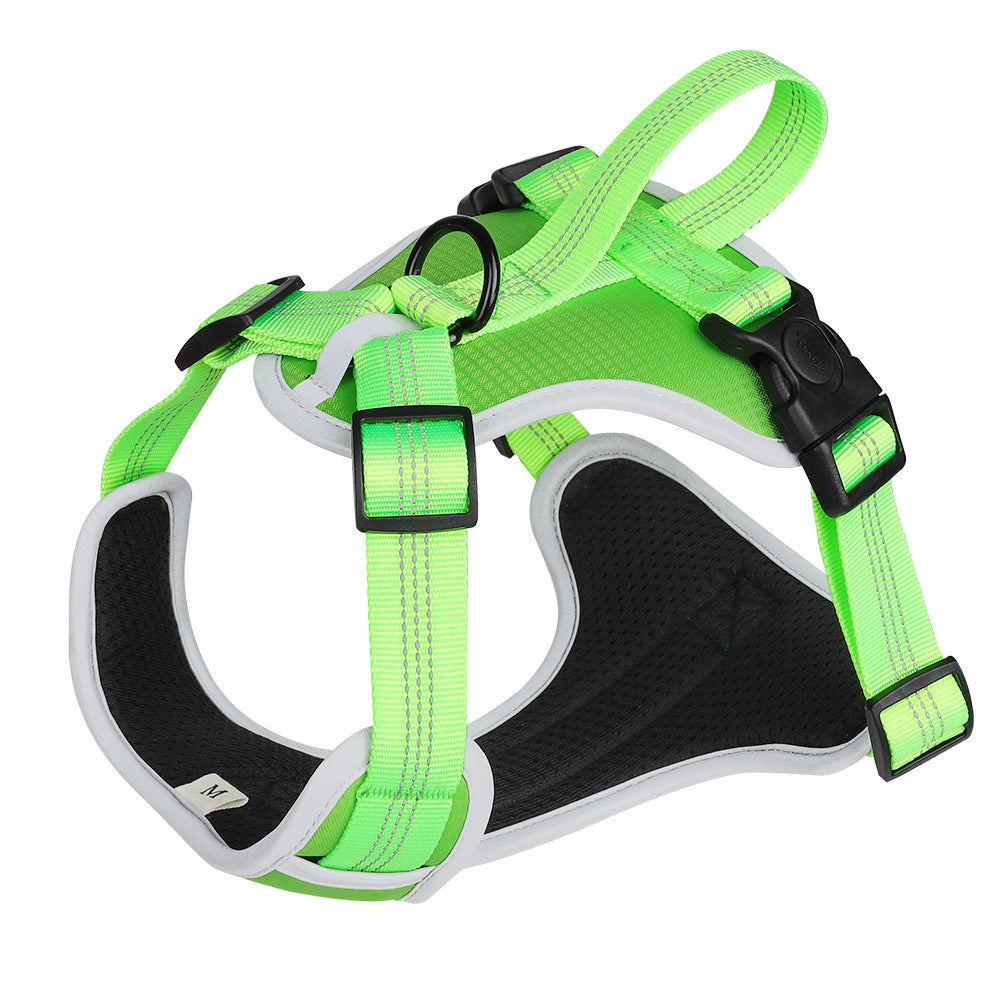 Explosion Proof Big Dog Harness with Handheld Leash