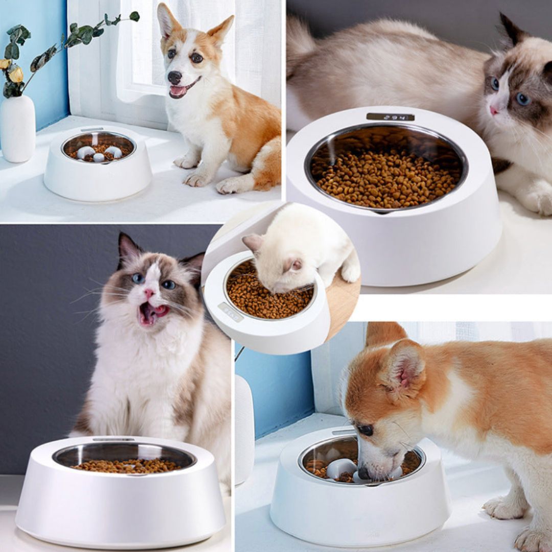 Intelligent Weighing Bowl for Pet Food