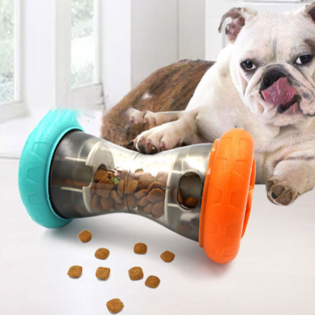 Pet Feeder for Healthy Eating & Exercise