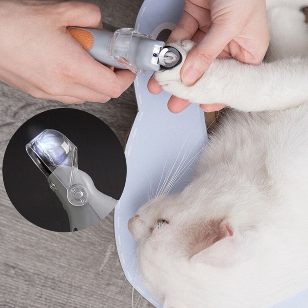 LED Pet Nail Clipper with Magnifier