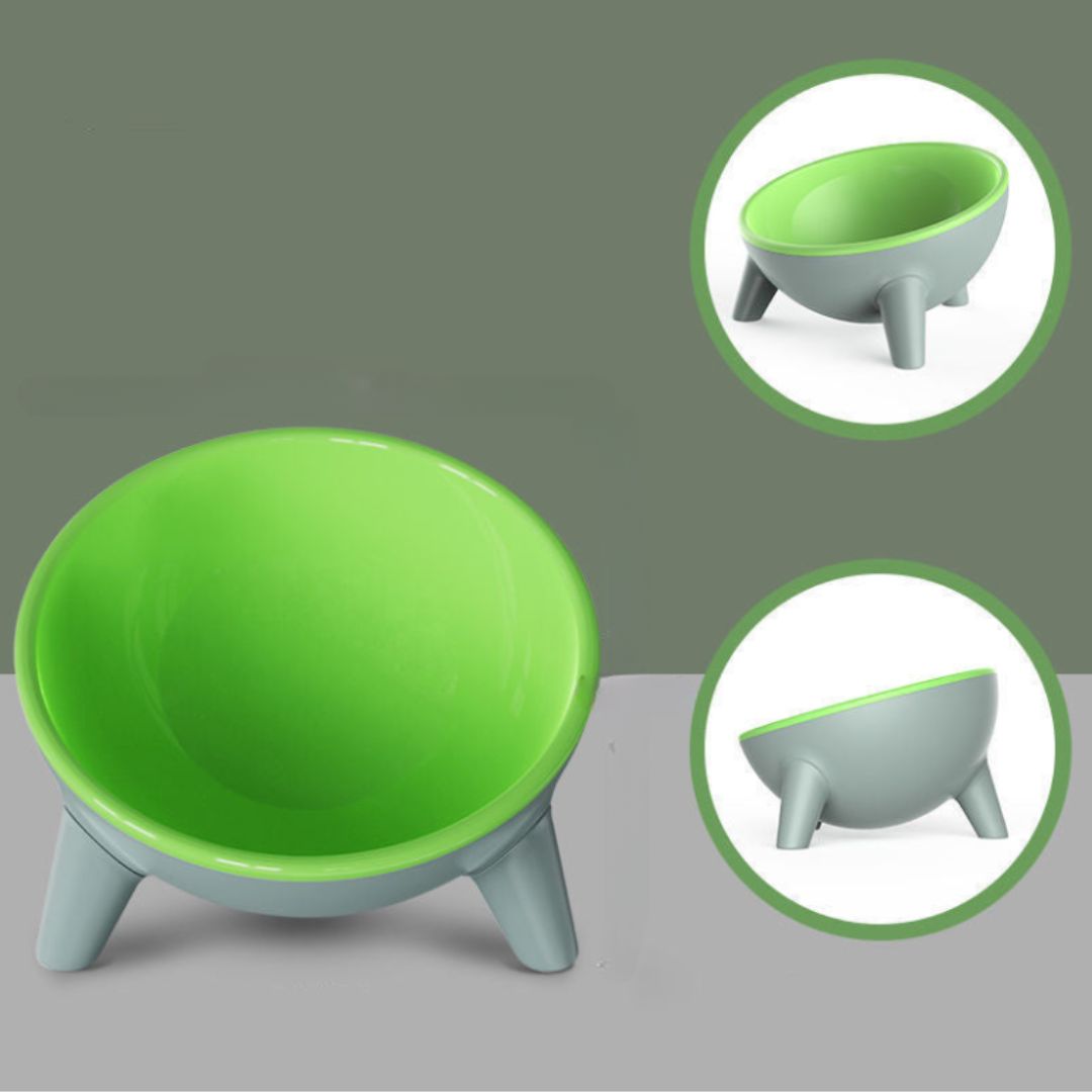 Pet Feeding Bowl With Stand