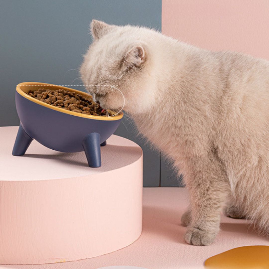 Pet Feeding Bowl With Stand