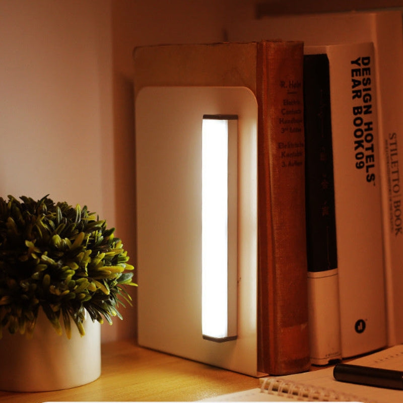 Cold/Warm Light Induction Lamp with Micro USB Charging